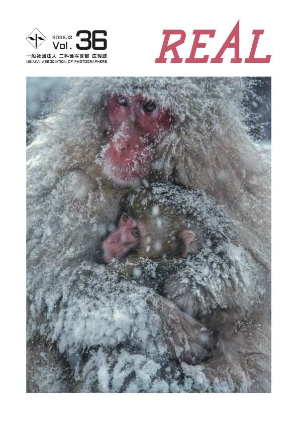 会報REAL Vol.36