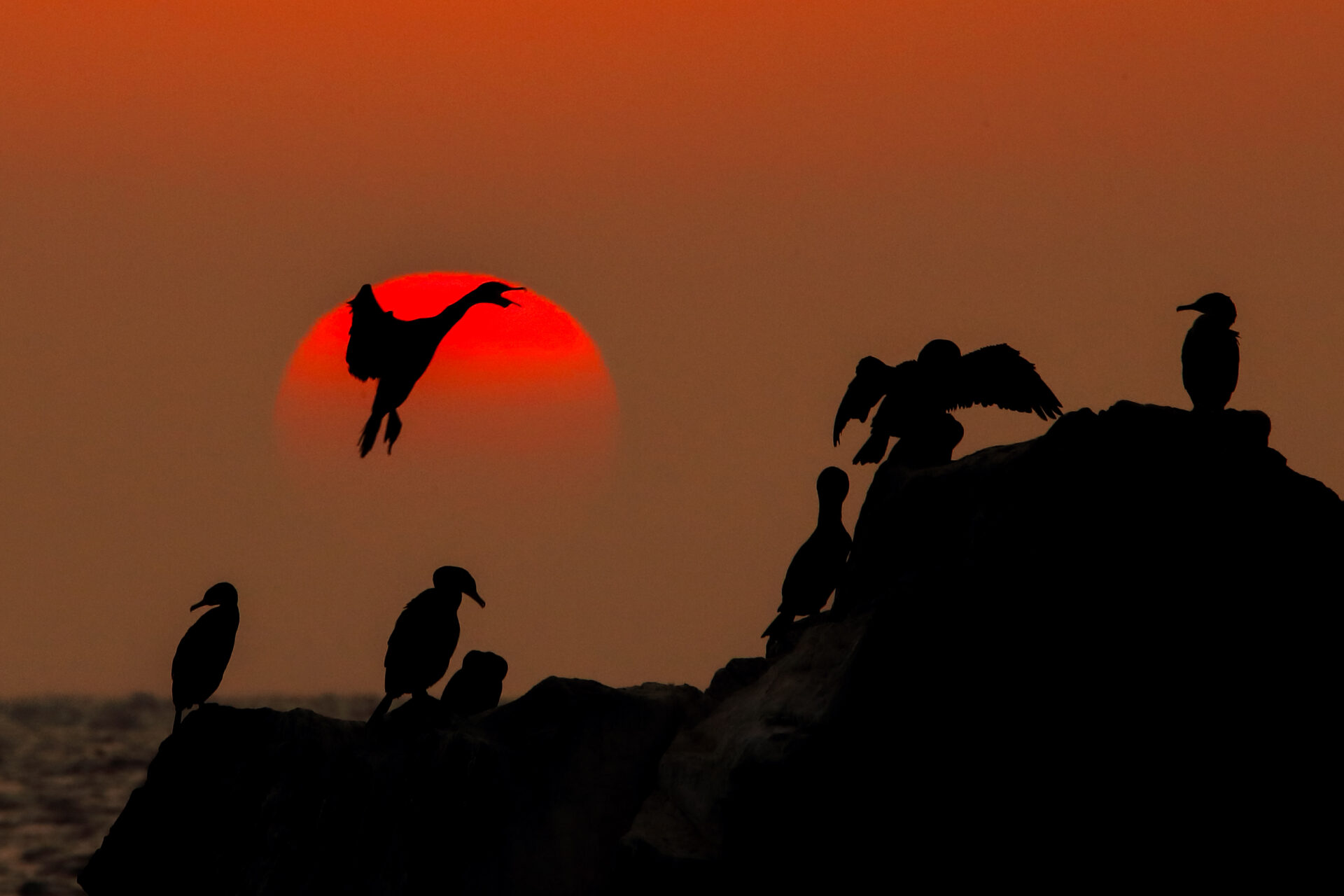 「マイホームへ」