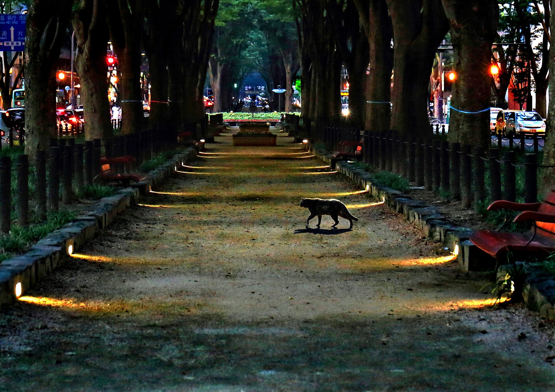 一般社団法人二科会写真部