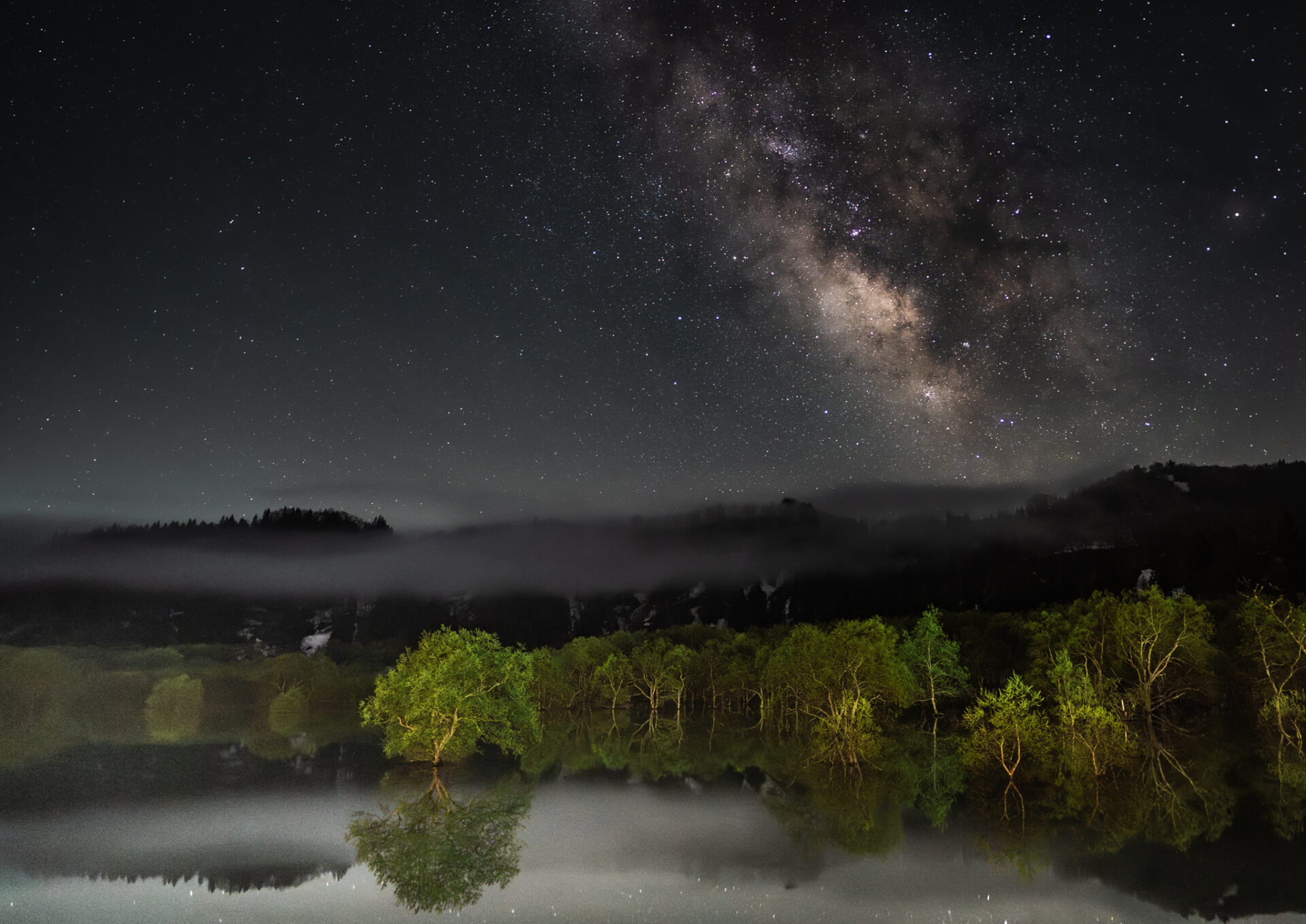 「星降る水没林」